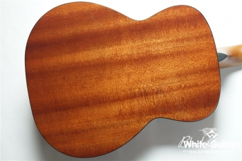 F-020 - Cherry Sunburst